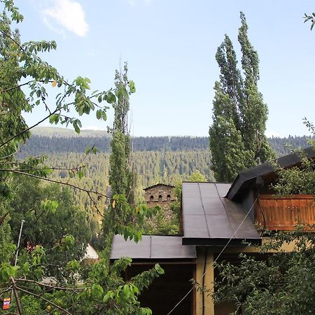 Skier'S House Mestia Exterior foto